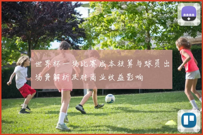 世界杯一场比赛成本核算与球员出场费解析及对商业收益影响