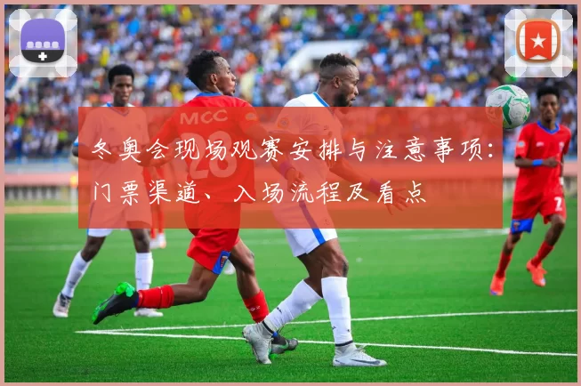冬奥会现场观赛安排与注意事项：门票渠道、入场流程及看点