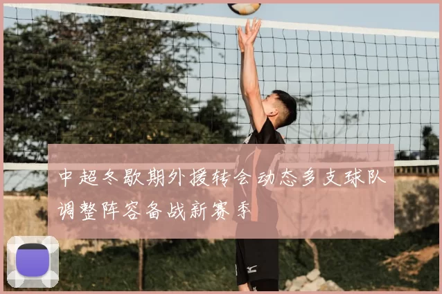 中超冬歇期外援转会动态多支球队调整阵容备战新赛季