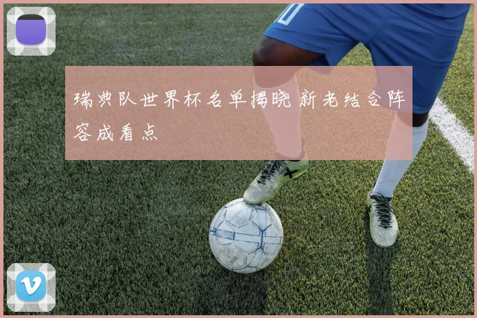 瑞典队世界杯名单揭晓 新老结合阵容成看点