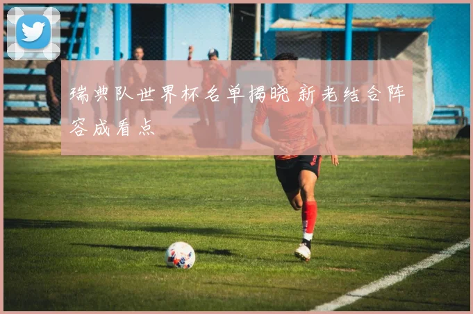瑞典队世界杯名单揭晓 新老结合阵容成看点
